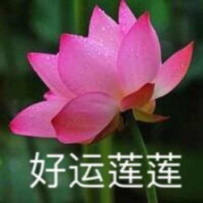 使徒行者手游九游版(暂未上线)v1.2.3 安卓版